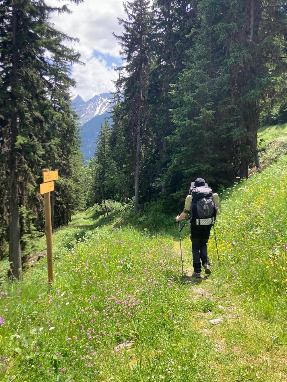 Guillaume marche sur un sentier fleuri en lisière de forêt pendant la Grande Traversée des Alpes
