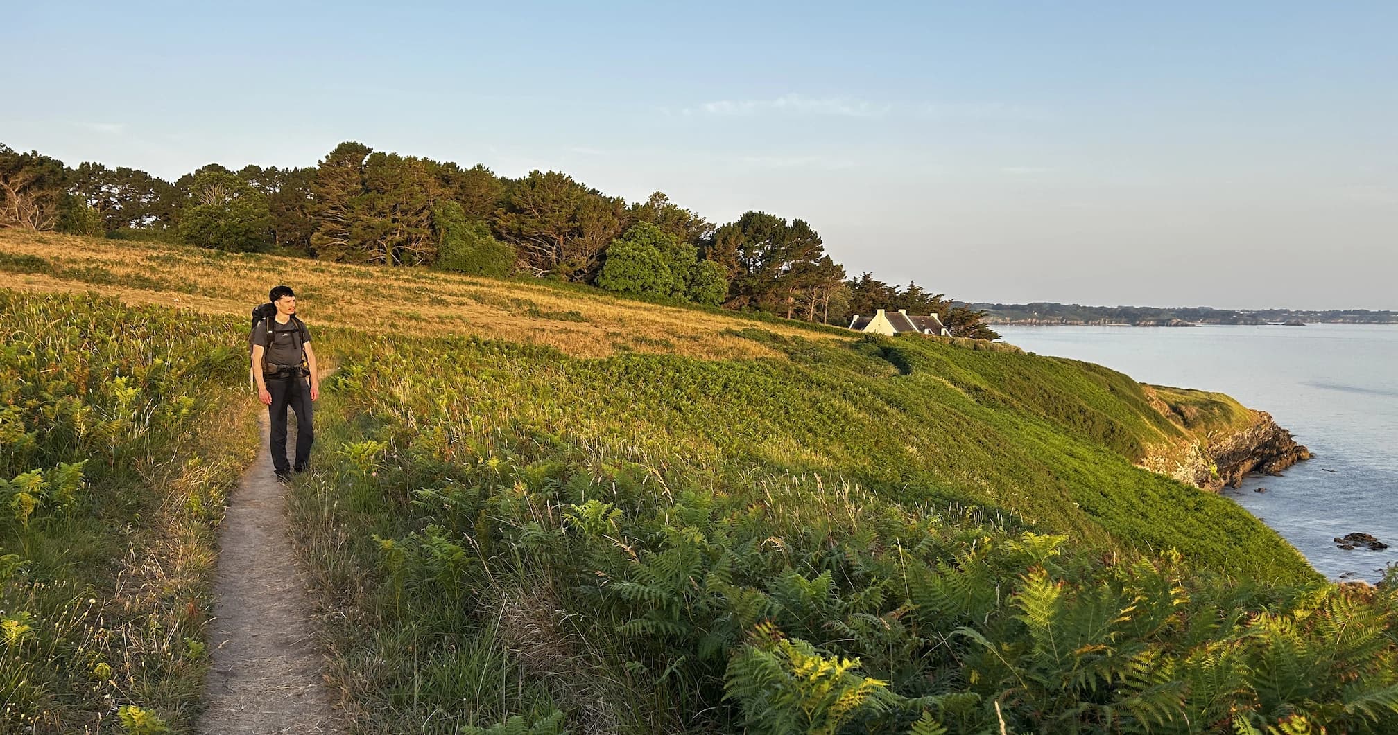 Randonneur sac au dos sur un sentier côtier bordé de fougères, la mer en contrebas, à Belle-Île-en-Mer